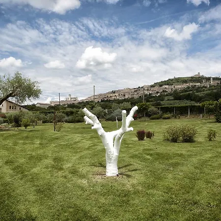 Tenuta San Masseo - Boutique Farm & Assisi