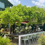 Tenuta San Masseo - Boutique Farm & Nocleg ze śniadaniem