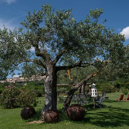 Frühstückspension Tenuta San Masseo - Boutique Farm & Assisi